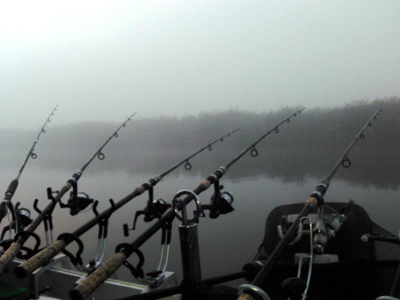 Rosu - Septembrie  2015 - img20150927065354.jpg